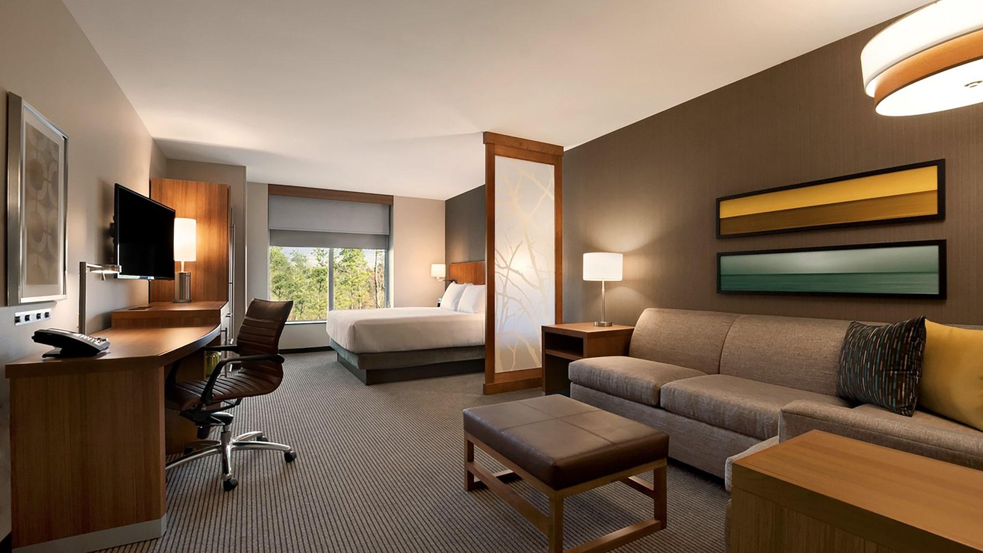 Hyatt Place Houston/דה וודלנדס מראה חיצוני תמונה